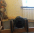 Дубенский краеведческий музей готовится к фестивалю "Наследие Мосолова" (ФОТО) - Наследие