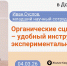 Семинар ОМУС в Доме ученых ОИЯИ - ОИЯИ